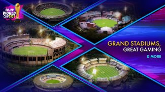 World Cricket Championship 3 screenshot 5