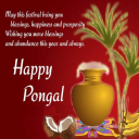 Happy Pongal: Greeting, Photo Frames, GIF, Quotes Icon