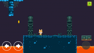 Pets Adventure 2D Platformer screenshot 5