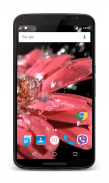 Raindrops on Flower Wallpaper screenshot 1