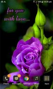 Purple Lovely Rose LWP screenshot 1