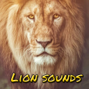 Lion sound effects Icon