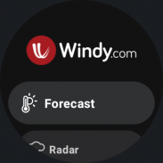 Windy.com - Weather Forecast screenshot 12