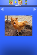 Mix Aminals. Animal morphing screenshot 6