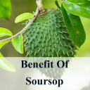 Benefits of Soursop