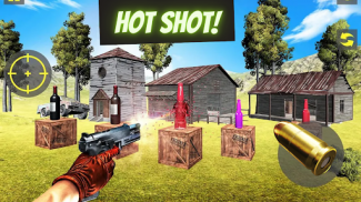 Bottle Shooting-Target Shoot screenshot 2