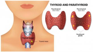 underactive thyroid guide screenshot 1