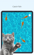 Meow - Jeux Jouet Pour Chat screenshot 14