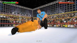 Wrestling Revolution 3D screenshot 5