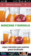 Jugos Quema Grasa screenshot 4