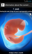 Schwangerschaftswochen Widget screenshot 5
