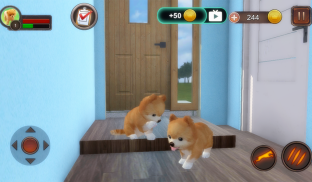 Pomeranian Dog Simulator screenshot 10