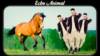 Echo Animal Effect : echo mirror with animal screenshot 5