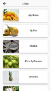 Obst und Gemüse, Beeren: Bild - Quiz screenshot 1