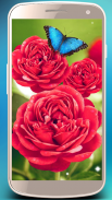 Roses live wallpaper. Beautiful roses for girls screenshot 3