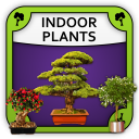 Indoor Plants Icon