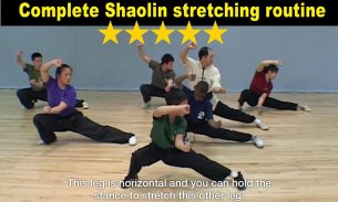 Shaolin Kung Fu screenshot 7