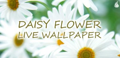 Daisy Flower Live Wallpaper