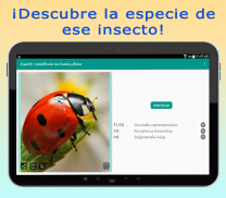 InsectID – Identifica Insectos screenshot 6