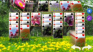 Solitaire: Classic Card Game screenshot 5