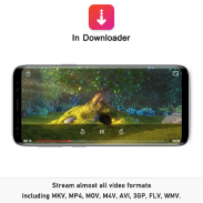 In Downloader - File download & Video streaming screenshot 0