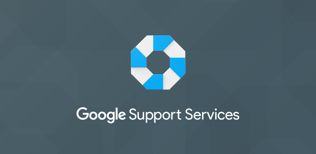 Google support. GOOGLELOGINSERVICE.