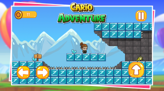 Cario Adventure screenshot 3