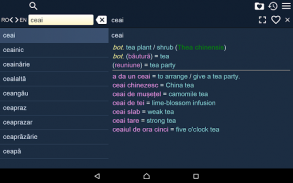 English Romanian Dictionary screenshot 3