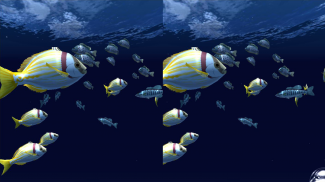 Fish Schooling VR screenshot 1