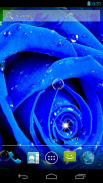 Hoa hồng xanh biếc screenshot 0