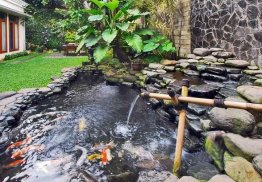 Fish Pond Design Ideas screenshot 1