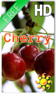 Berry Cherry LWP Free screenshot 0