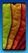 Leaf Wallpaper 4K screenshot 4