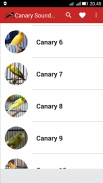 Canary Birds Master screenshot 0