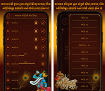Bhagavad Gita Gujarati Audio screenshot 1