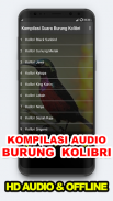 Suara Kicau: Burung Kolibri screenshot 1