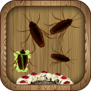 Crush Insects Icon