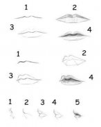 Drawing Lips Tutorial Step by Step screenshot 3