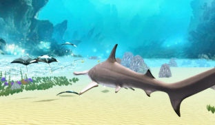 The Hammerhead Shark screenshot 7