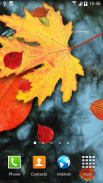 Autumn Leaves Live Wallpaper screenshot 3