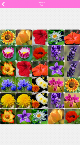 Pairs Flowers 1 0 3 下载android Apk Aptoide