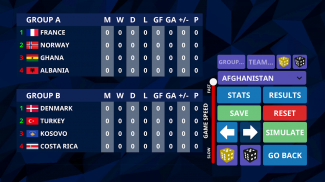 Simulateur de football international screenshot 2