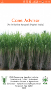 Cane Adviser screenshot 0