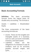 Basic Accounting Concepts screenshot 2