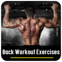 Back Workout Exercises