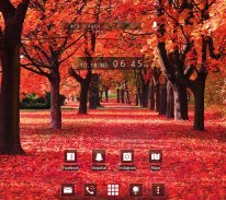 Autumn Trees wallpaper theme screenshot 0