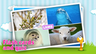 Çocuklar için hayvanlar slayt screenshot 4