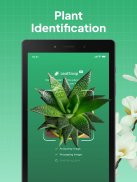 LeafSnap Plant Identification screenshot 6