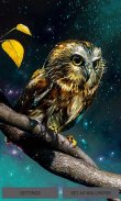 Golden Owl Live Wallpaper screenshot 1