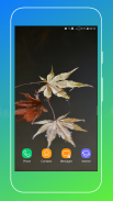 Leaf Wallpaper HD screenshot 6